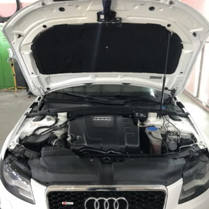 Detailing Motor_2